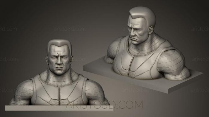 Busts and bas-reliefs of famous people (BUSTC_0409) 3D model for CNC machine